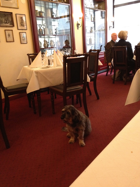 the dog at boettners