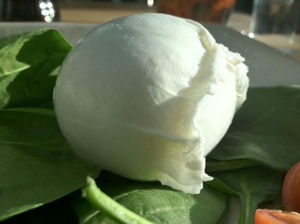 buffalo mozzarella at obika
