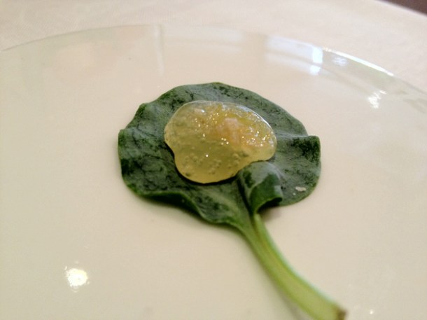 oyster leaf with apple and sweet ginger sauce at gelonch