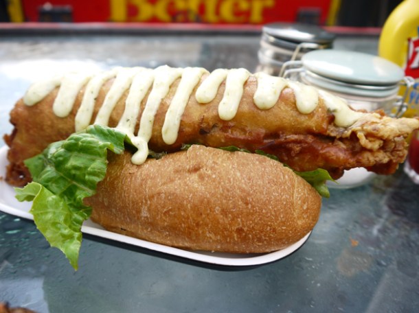 dog and fish at dach and sons