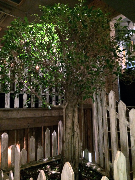 indoor tree at barnyard