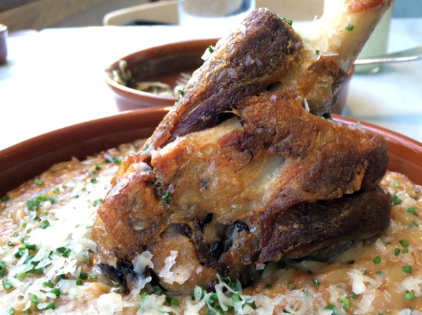 lamb shank at opso