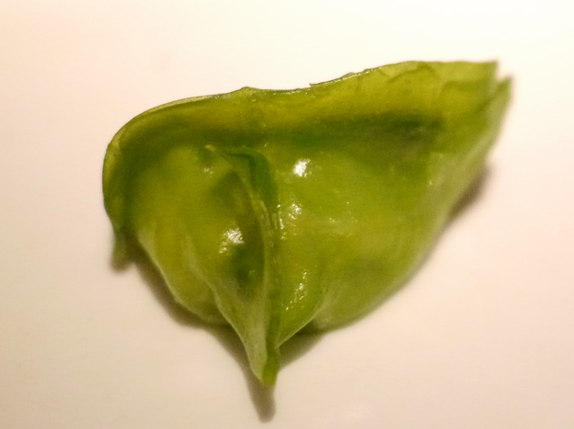 scallop dumpling at shanghai blues