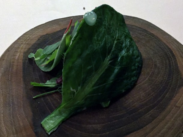 tuna with bitter herbs and mint wrapped in leaf at metamorfosi rome