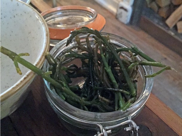 pickled samphire at rök