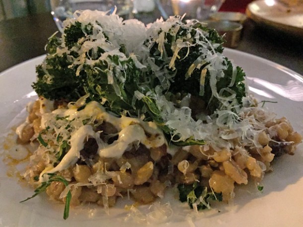 sour cherry barley salad at oklava