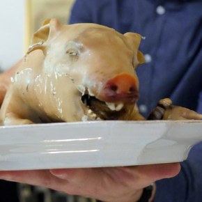 Dickie Fitz review – light and airy Australian almost ruins an entire suckling pig