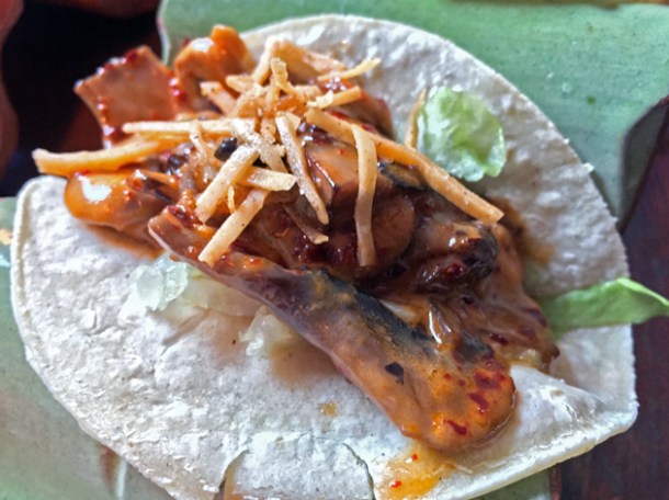 mushroom tacos at habanera