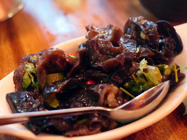 fungus at the sichuan