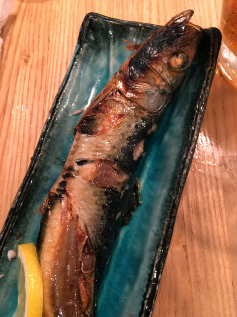 grilled saury at sakagurakomachuu