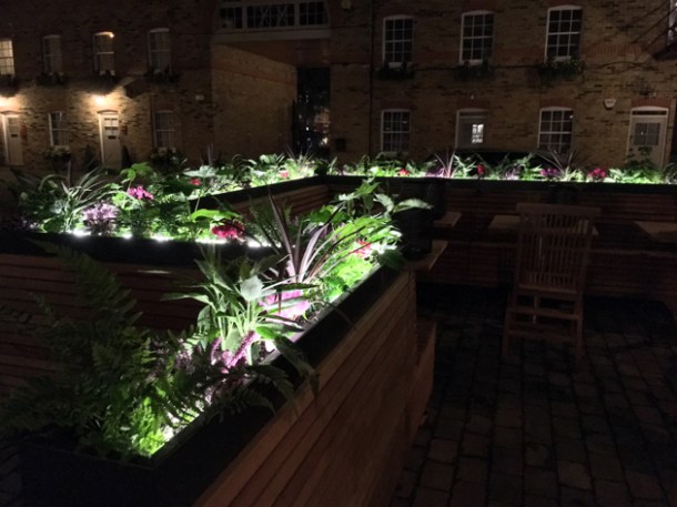 courtyard at rick stein barnes