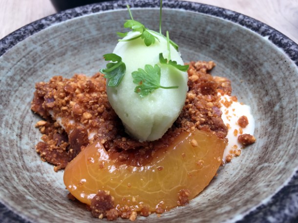 caramelised yogurt panna cotta with peach, peanuts and celery sorbet at magpie