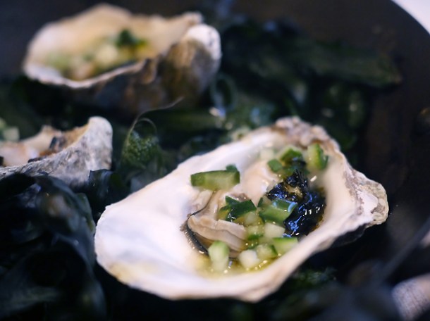 oysters with roasted seaweed in the shell at brat shoreditch