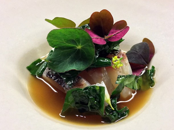 red seabream at mãos