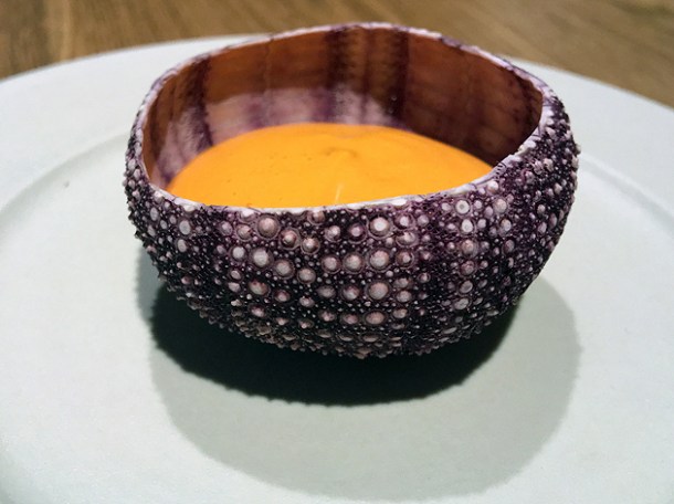 rouille at hide above