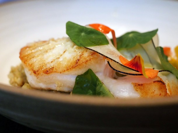 skrei cod with toasted buckwheat and mushrooms at hide ground