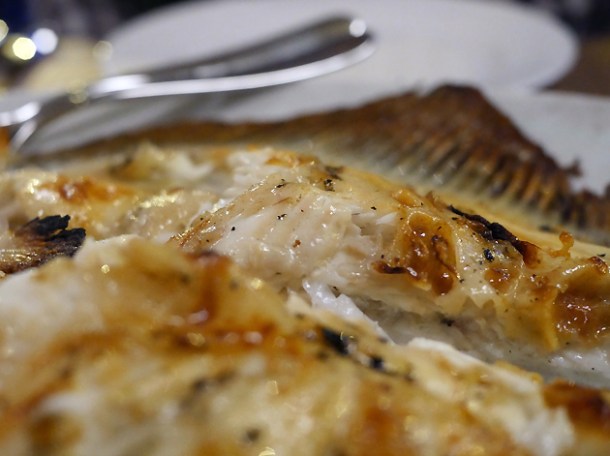 turbot at brat