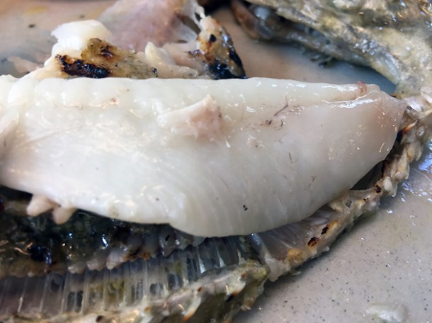 john dory fish at bright bethnal green