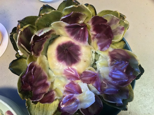globe artichoke at two lights