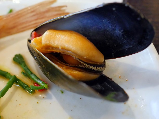 illustrative image of the mussels at Blacks Penzance