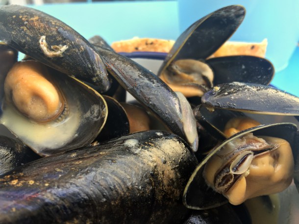 illustrative photo of the mussels at Mackerel Sky