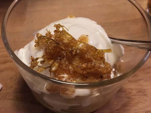 illustrative photo of the milk ice cream with elderflower honey blossom at koya city