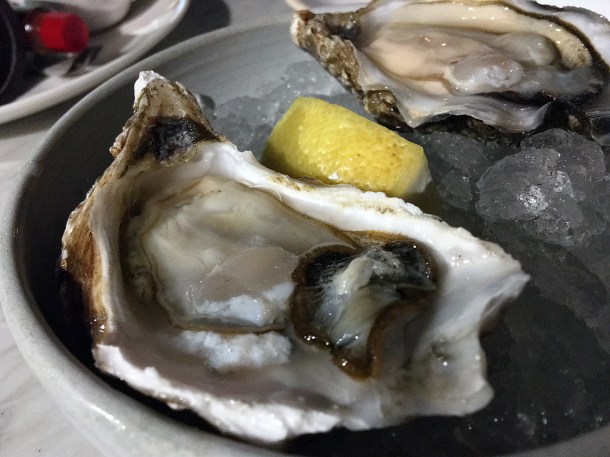 illustrative photo of the oysters at Darby's