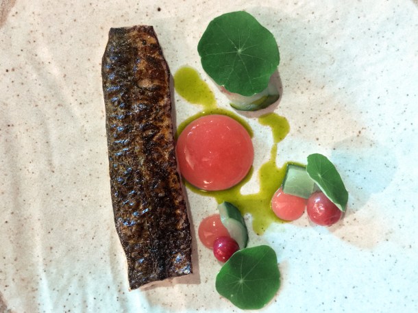 illustrative photo of the torched mackerel with cucumber, gooseberries and elderflower at the Felin Fach Griffin